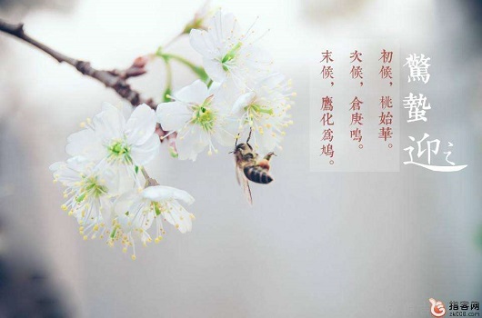 驚蟄時(shí)節(jié)，山西鋼結(jié)構(gòu)工人怎么過？